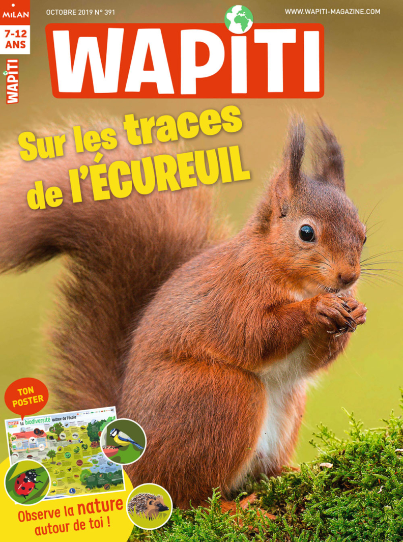 Couverture Wapiti Sur les traces de l'écureuil