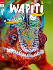 Couverture Wapiti : Je t'ai à l'oeil ?