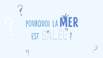 mer salée