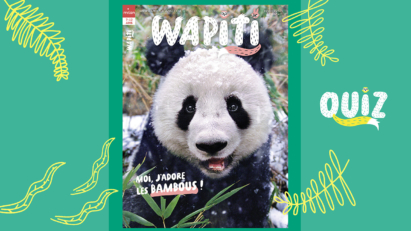 Quiz wapiti- Wapiti magazine